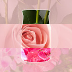 FRESH CUT ROSES
